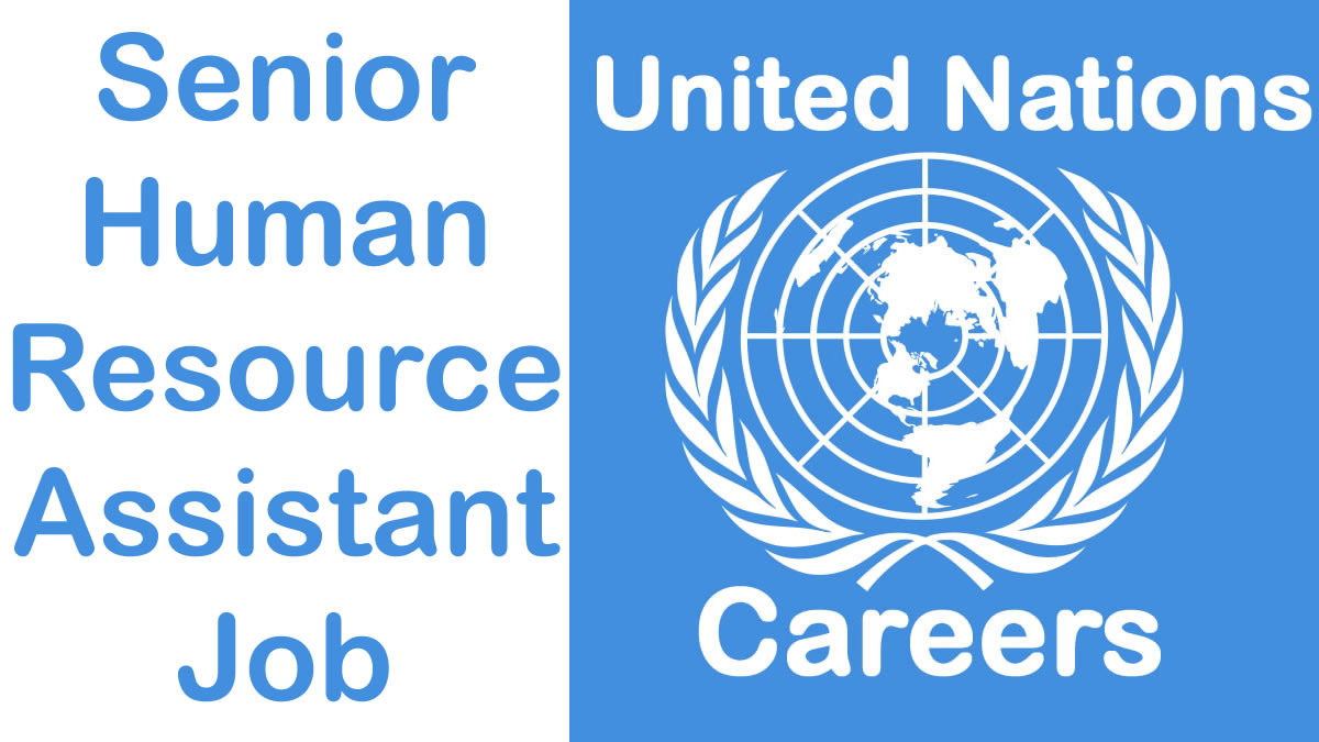 Senior Human Resource Assistant Job At Un Habitat Un Jobs November