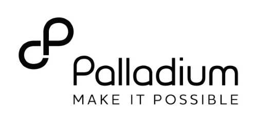 Executive Positions at Palladium International