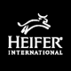 Country Director Kenya (Re-advertisement) at Heifer International