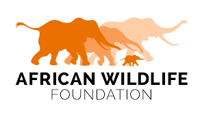 Senior Director, Conservation Programs at African Wildlife Foundation