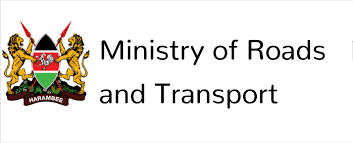 Deputy Director, Transport Policy and Planning at Ministry of Road and Transport